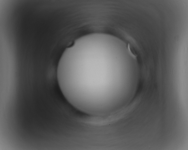X0000100770029200807031220