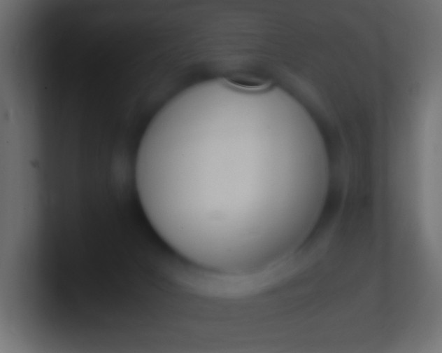 X0000100770031200807031219
