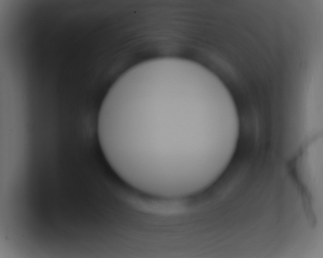 X0000100770032200807031219