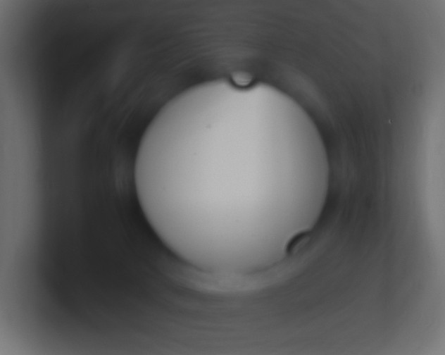 X0000100770034200807031219