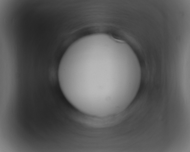X0000100770035200807031219