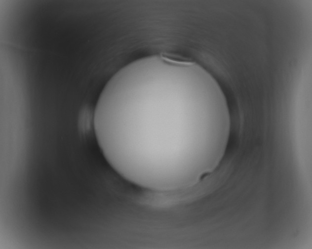 X0000100770041200807031219