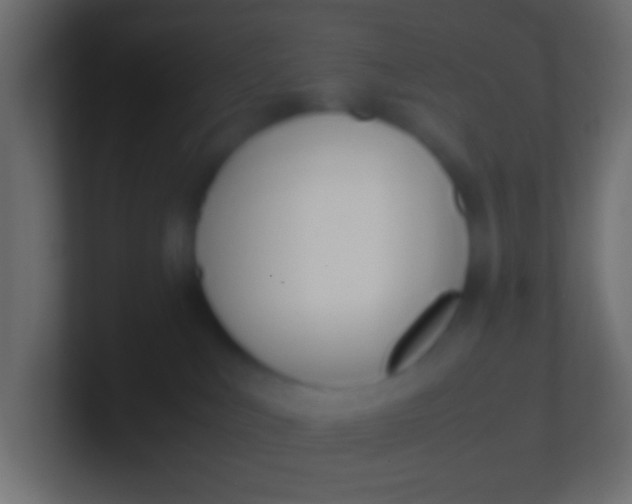 X0000100770043200807031219