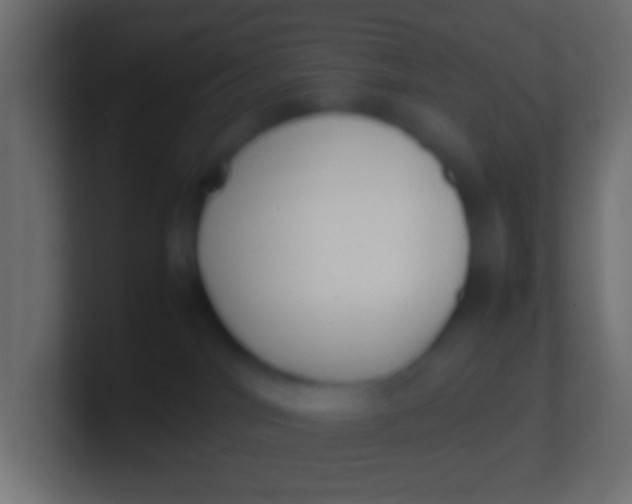 X0000100770044200807031219