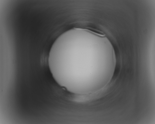 X0000100770045200807031219