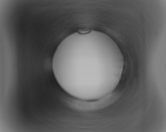 X0000100770048200807031219