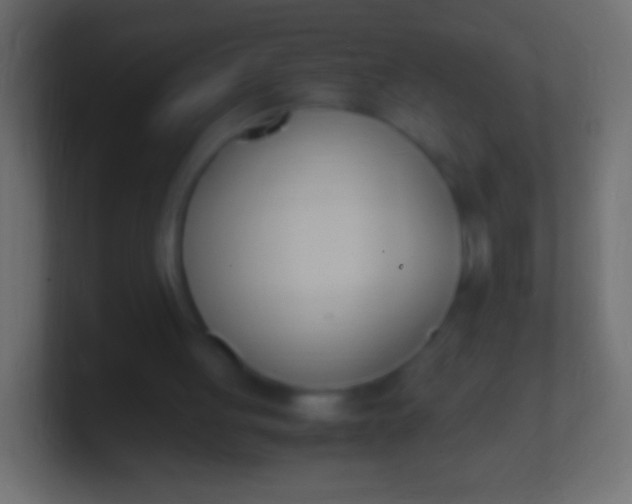 X0000100770051200807031219