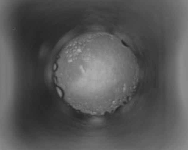 X0000100770053200807031219