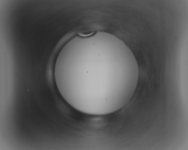 X0000100770054200807031219