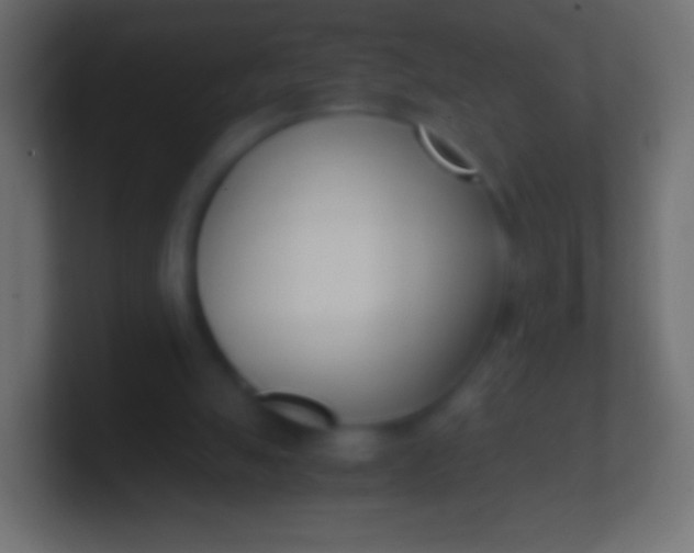 X0000100770055200807031219