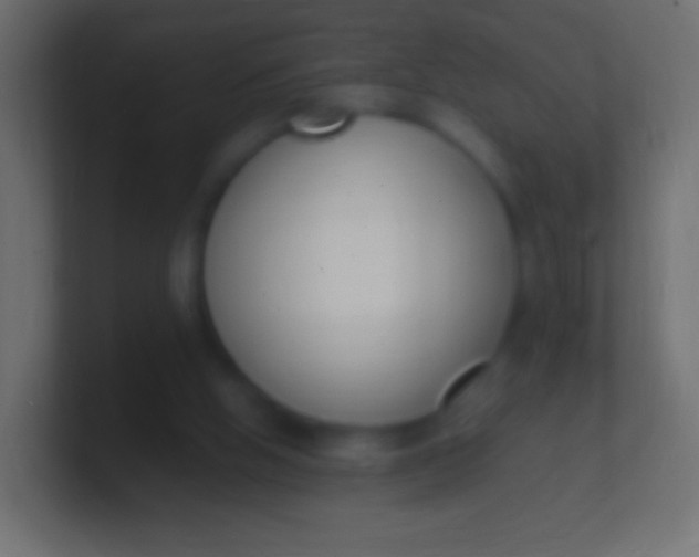 X0000100770058200807031219