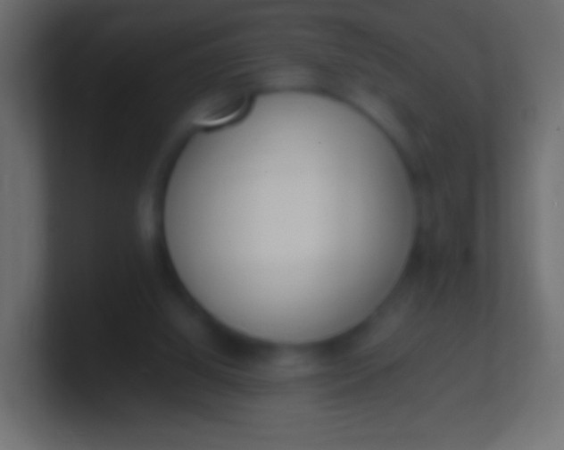 X0000100770060200807031219