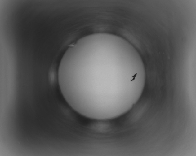 X0000100770067200807031219