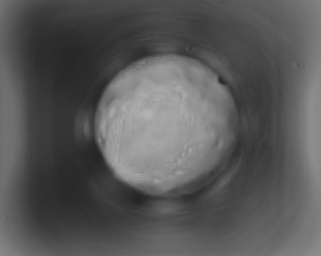 X0000100770069200807031219