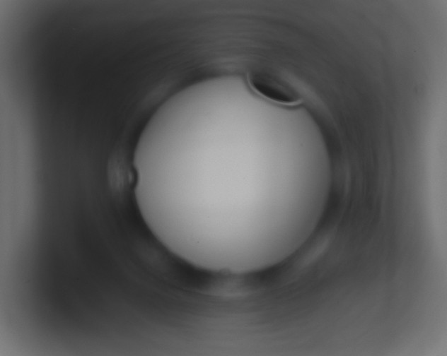 X0000100770072200807031219