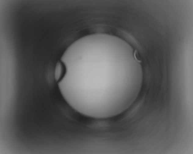 X0000100770073200807031219