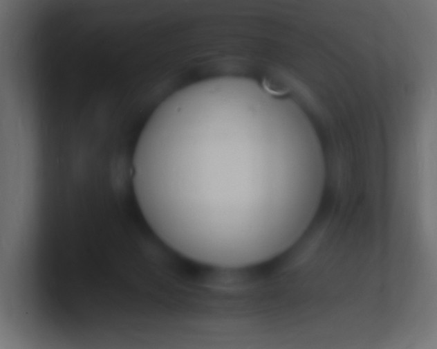 X0000100770077200807031219