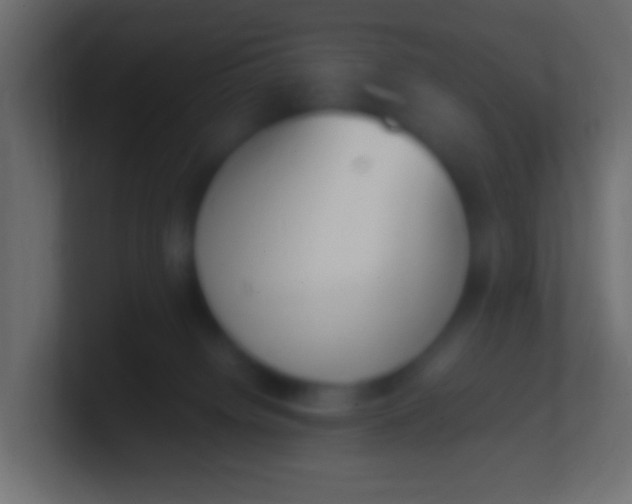 X0000100770084200807031219