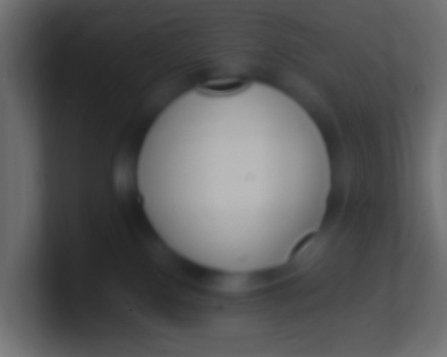 X0000100770090200807031219