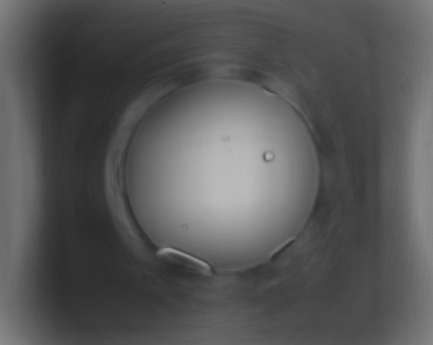 X0000100770097200807031219