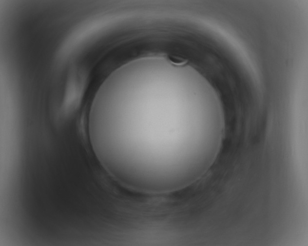 X0000100770099200807031219
