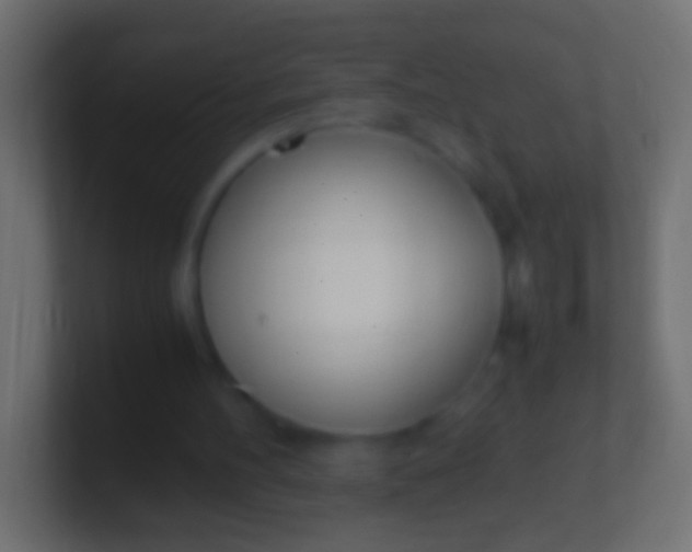 X0000100770100200807031219