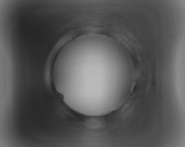 X0000100770101200807031219