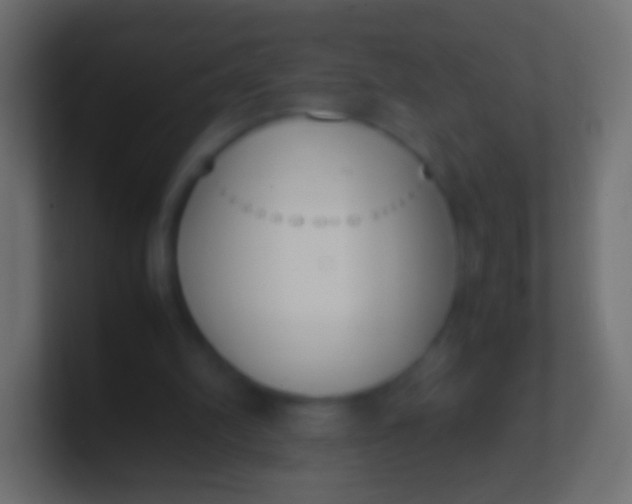 X0000100770102200807031219