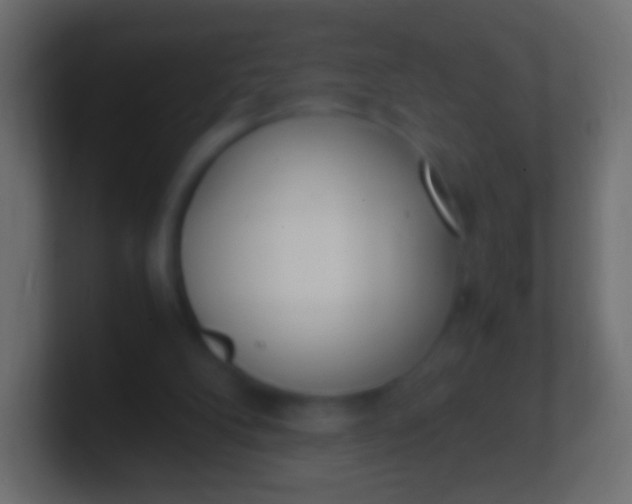 X0000100770104200807031218