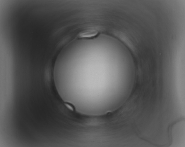X0000100770105200807031218