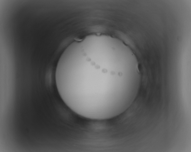 X0000100770106200807031218