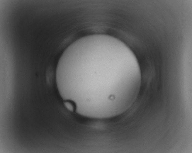 X0000100770120200807031218