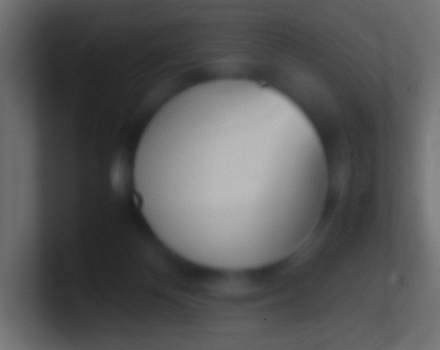 X0000100770124200807031218