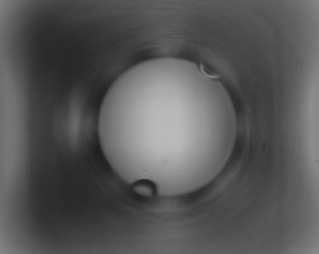 X0000100770127200807031218