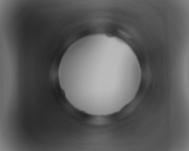 X0000100770141200807031218