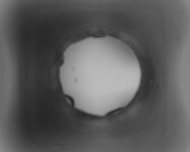 X0000100770144200807031218
