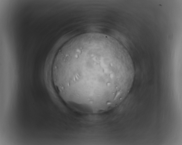 X0000100770145200807031217