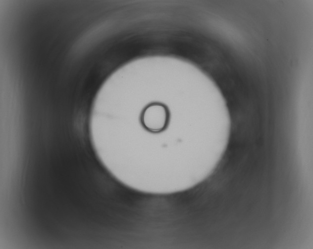 X0000100770146200807031217