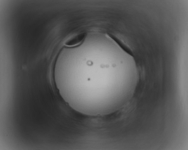 X0000100770147200807031217