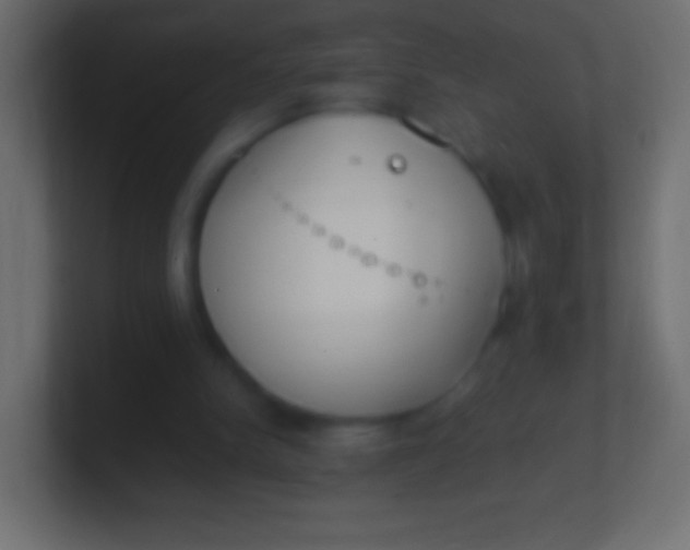 X0000100770150200807031217