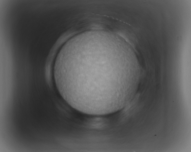 X0000100770151200807031217