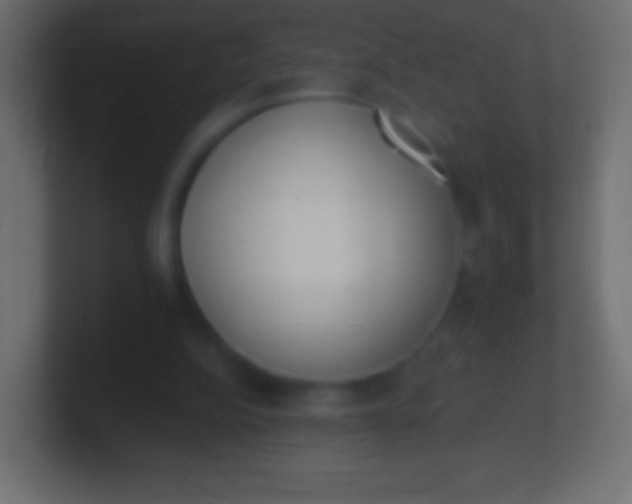 X0000100770152200807031217
