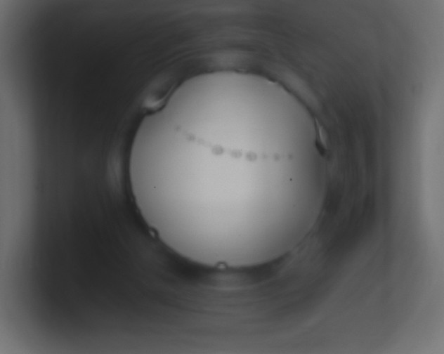 X0000100770154200807031217
