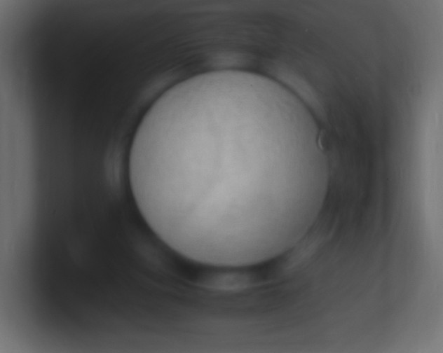 X0000100770155200807031217