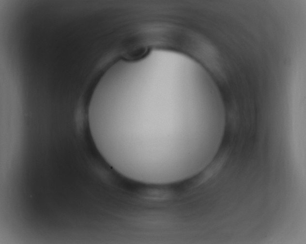X0000100770160200807031218