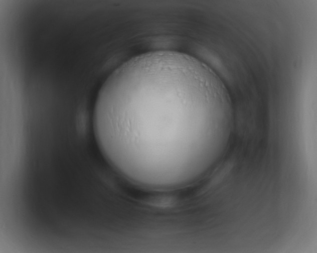 X0000100770161200807031218