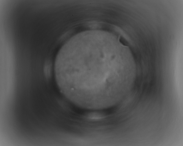 X0000100770163200807031218
