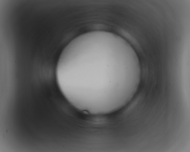 X0000100770165200807031218