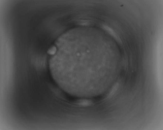 X0000100770167200807031218
