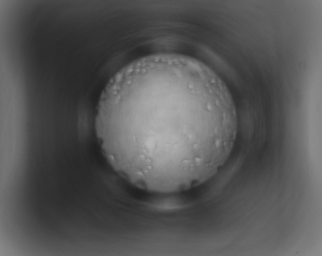 X0000100770169200807031218
